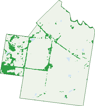 Where the trees are in Mondure