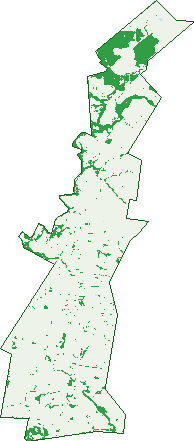 Where the trees are in Pickanjinnie