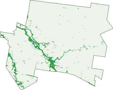 Where the trees are in Macalister