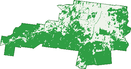 Where the trees are in Eukey