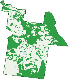 Where the trees are in Neusa Vale