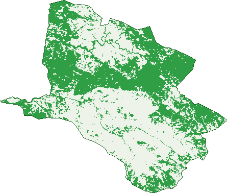 Where the trees are in Terrica