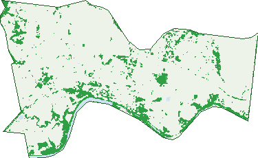 Where the trees are in Mundubbera