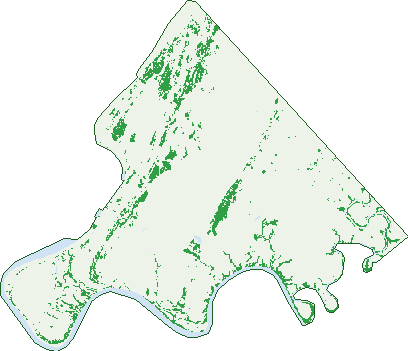 Where the trees are in Karumba