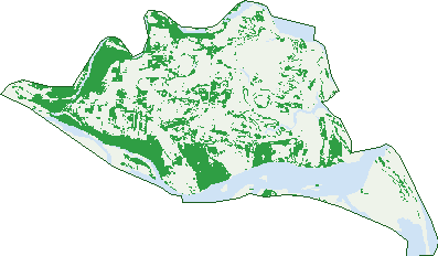 Where the trees are in Rita Island