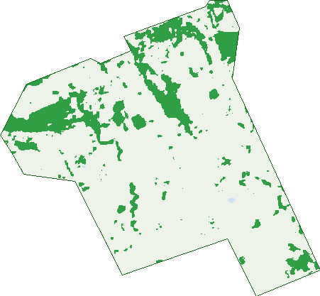Where the trees are in Ashwell