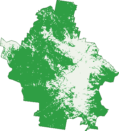 Where the trees are in Ebor