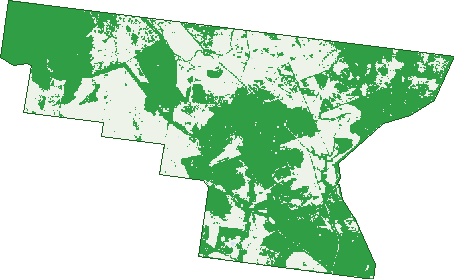 Where the trees are in Blackswamp