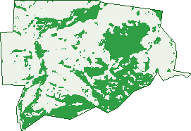 Where the trees are in Woodbine
