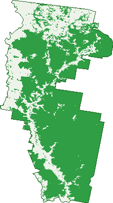 Where the trees are in Giants Creek