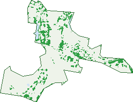 Where the trees are in Maitland