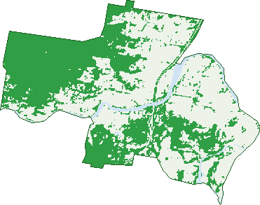 Where the trees are in Raleigh