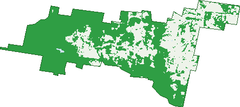 Where the trees are in Mount View