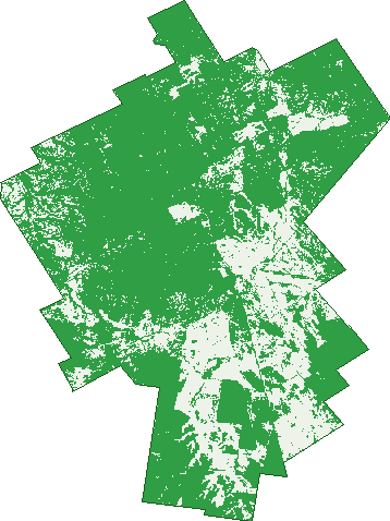 Where the trees are in Canbelego