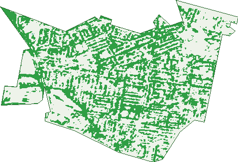 Where the trees are in Strathfield