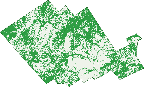 Where the trees are in Cubba