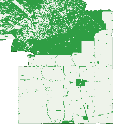 Where the trees are in Kulwin