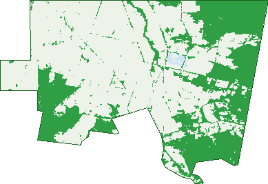 Where the trees are in Woodvale