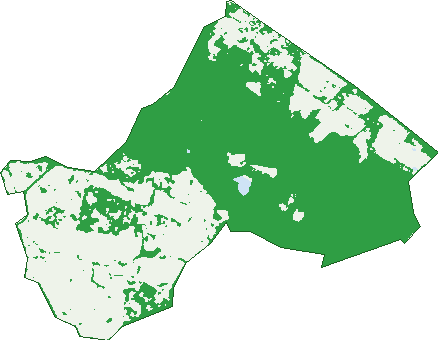 Where the trees are in Argyle