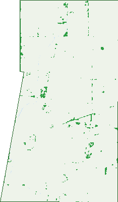 Where the trees are in Katandra