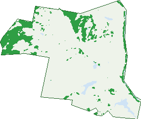 Where the trees are in Anambah