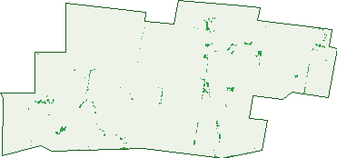 Where the trees are in Richmond Plains