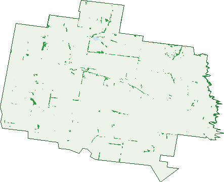 Where the trees are in Mannibadar