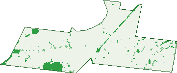 Where the trees are in Elingamite