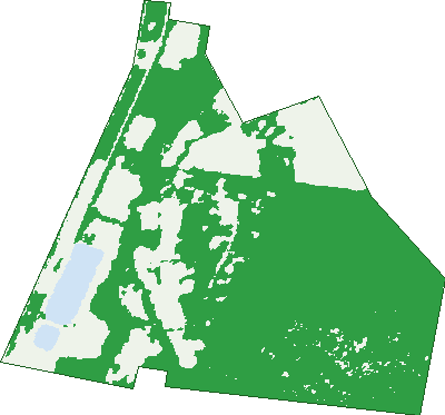 Where the trees are in Simson