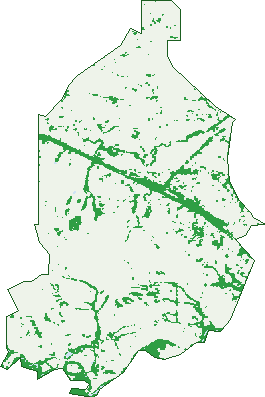 Where the trees are in Koriella