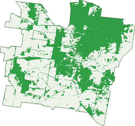 Where the trees are in Wedderburn