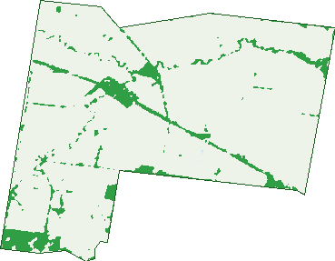 Where the trees are in Tanwood