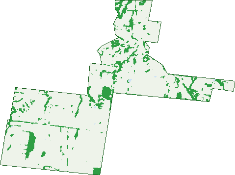 Where the trees are in Korumburra South