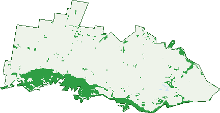Where the trees are in Pearsondale