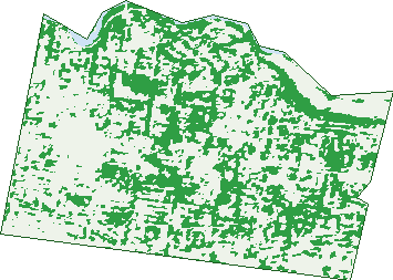 Where the trees are in Toorak