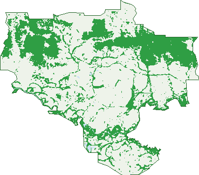 Where the trees are in Ghin Ghin