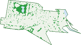 Where the trees are in Newport