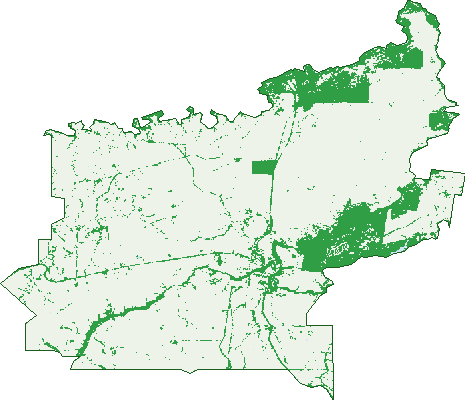 Where the trees are in Balmoral