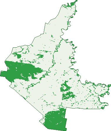 Where the trees are in Towong