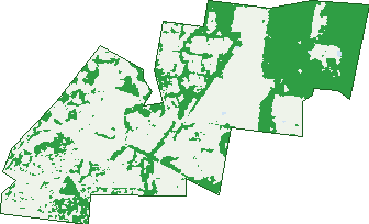 Where the trees are in East Bendigo