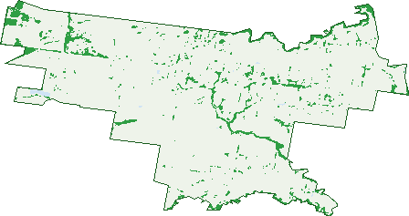 Where the trees are in Tinamba
