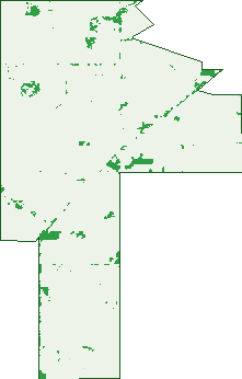 Where the trees are in Marungi