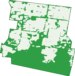Where the trees are in North Blackwood