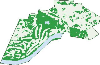 Where the trees are in Dareton