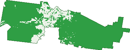 Where the trees are in Scarsdale