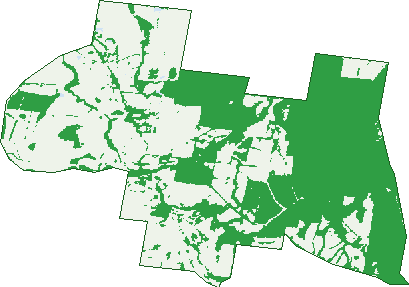 Where the trees are in Bambra
