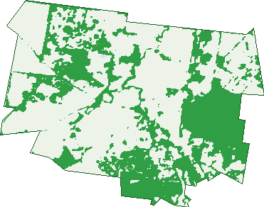 Where the trees are in Alma