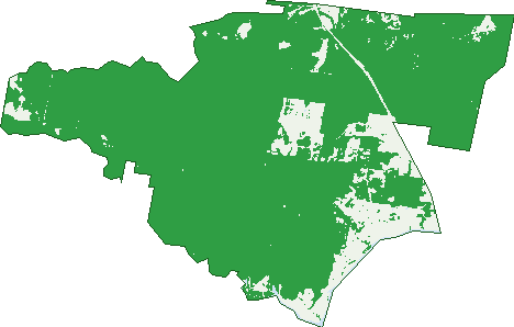 Where the trees are in Mororo