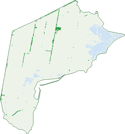 Where the trees are in Point Wilson