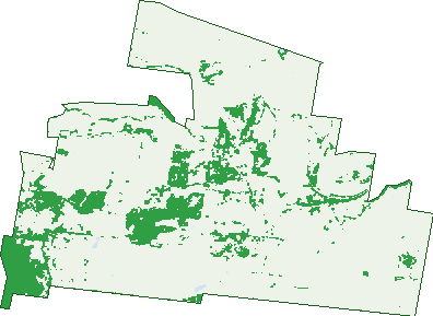 Where the trees are in Rowsley